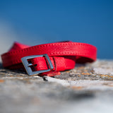 Red belt with a silver buckle on a textured surface with a blurred blue background
