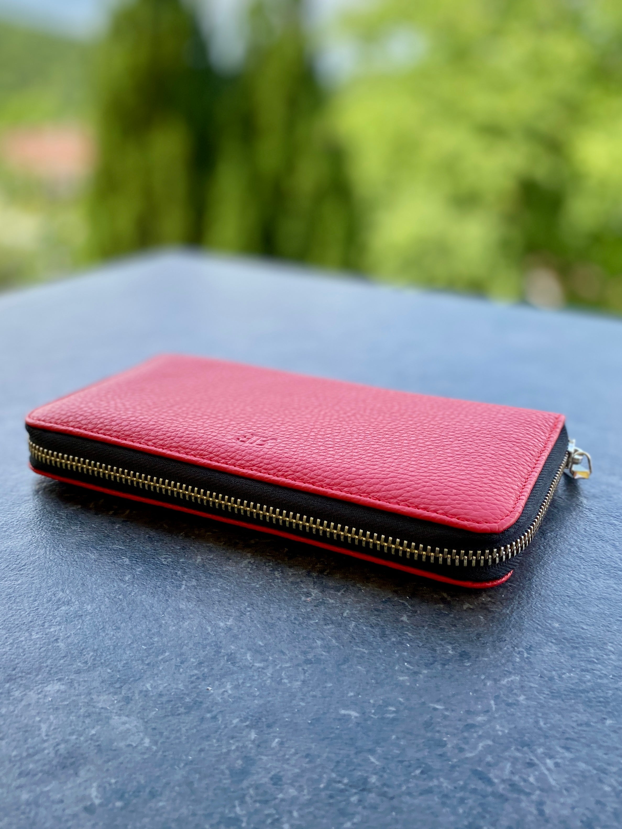 Pink wallet with gold zipper on a dark surface with a blurred green background