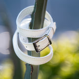 White belt with a silver buckle wrapped around a plant stem against a blurred natural background